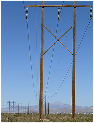 Electric transmission lines crossing the 1330-acre development property